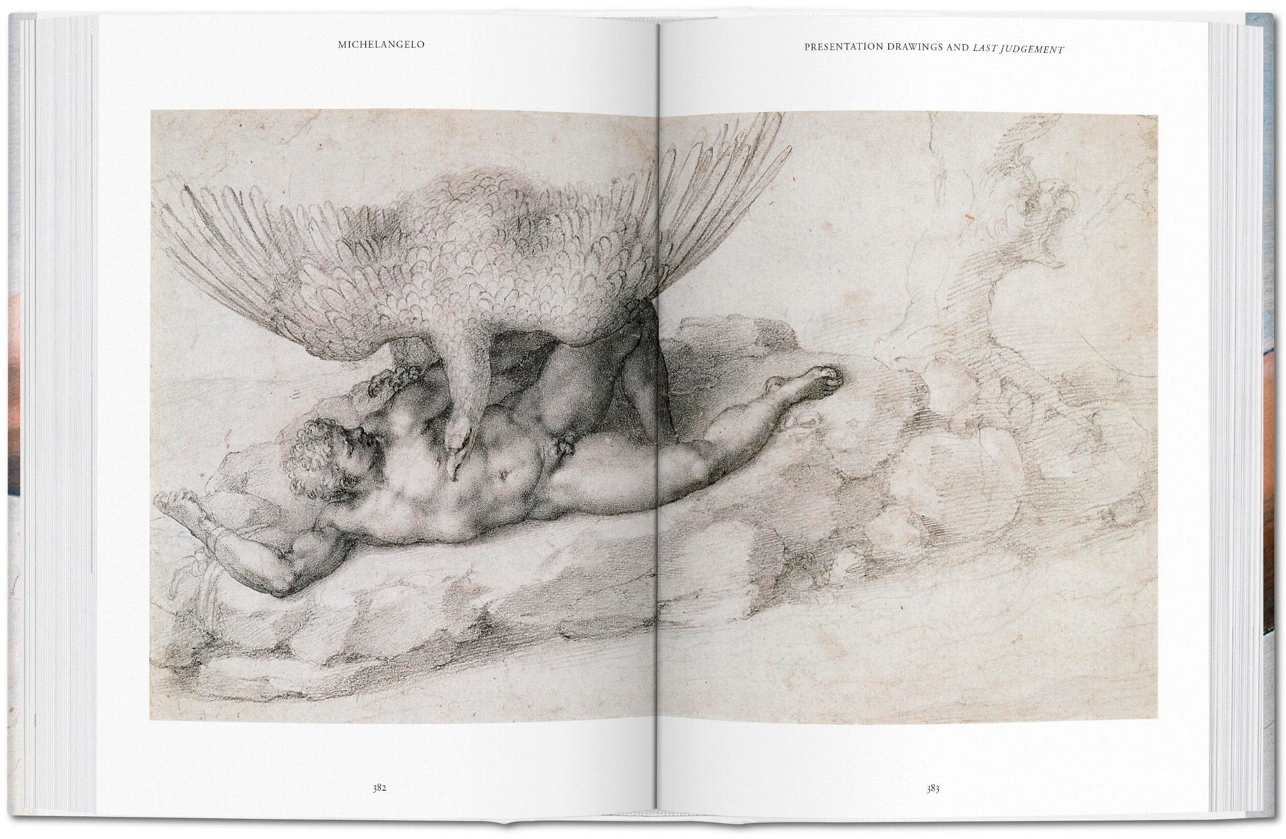 Michelangelo. Das vollständige Werk. Malerei, Skulptur, Architektur (Capa dura) 6