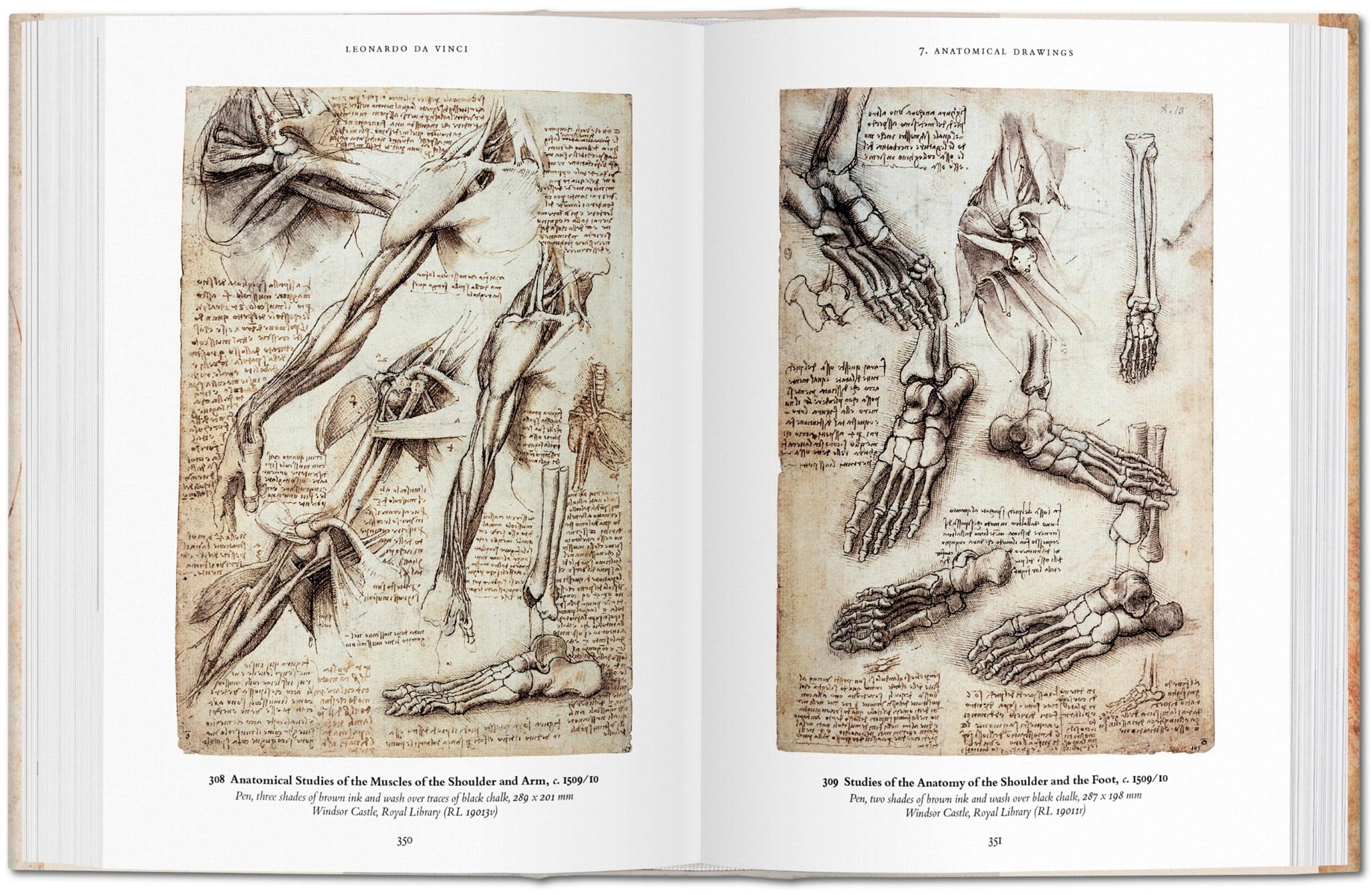 Leonardo. Sämtliche Zeichnungen (Capa dura) 5