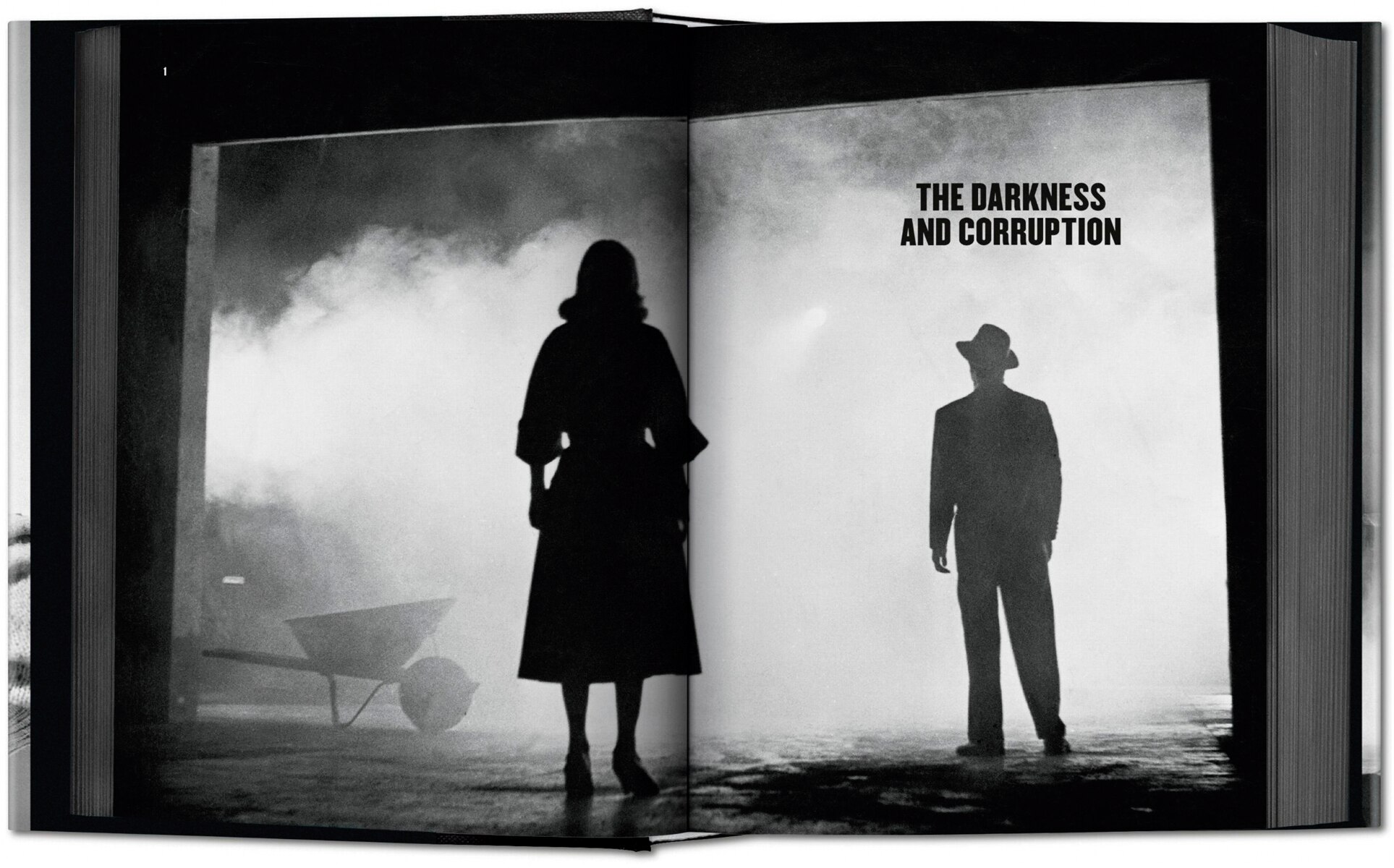 Film Noir (Capa dura) 7