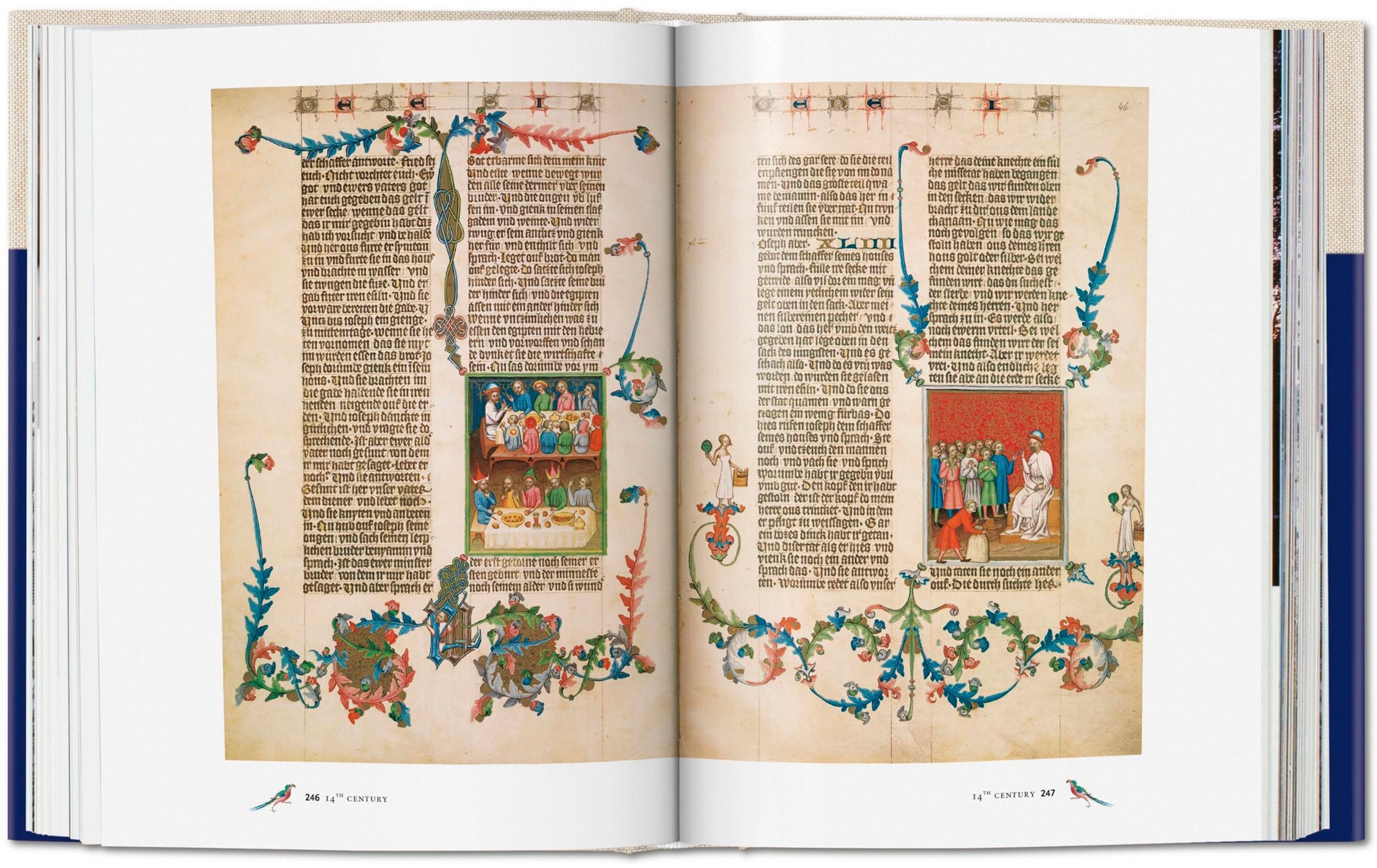 Codices illustres. Die schönsten illuminierten Handschriften der Welt 400 bis 1600 (Capa dura) 5