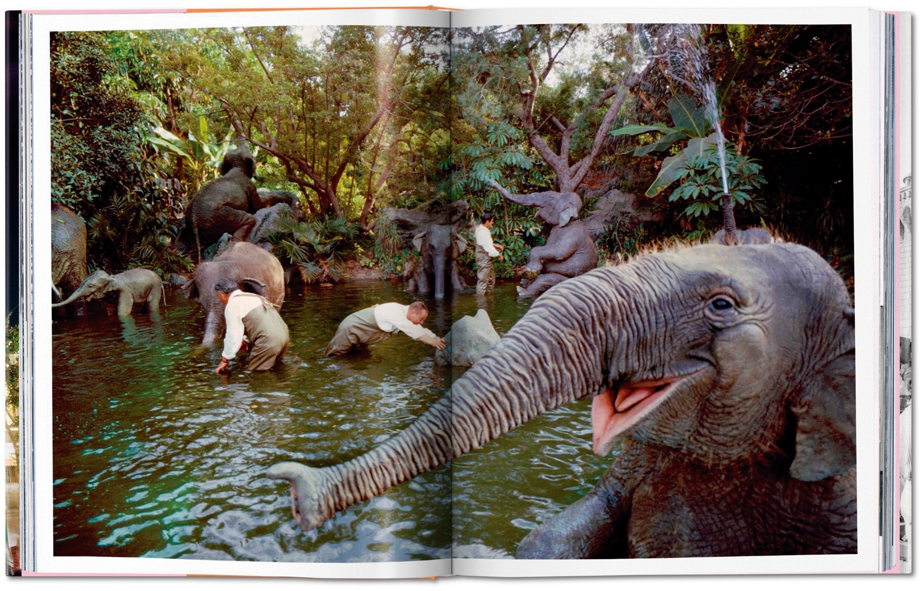 Walt Disney&s Disneyland (Capa dura) 6