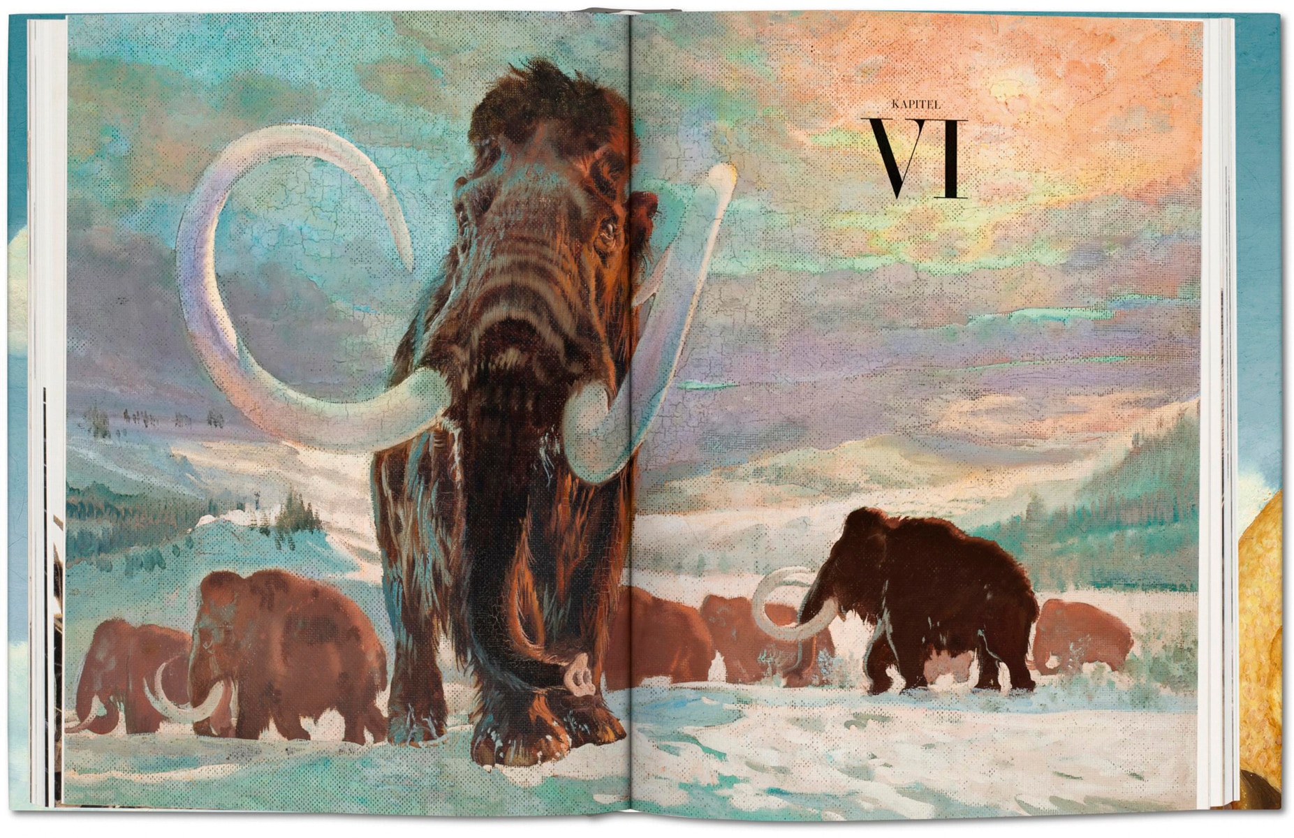 Paläo-Art. Darstellungen der Urgeschichte (Capa dura) 6