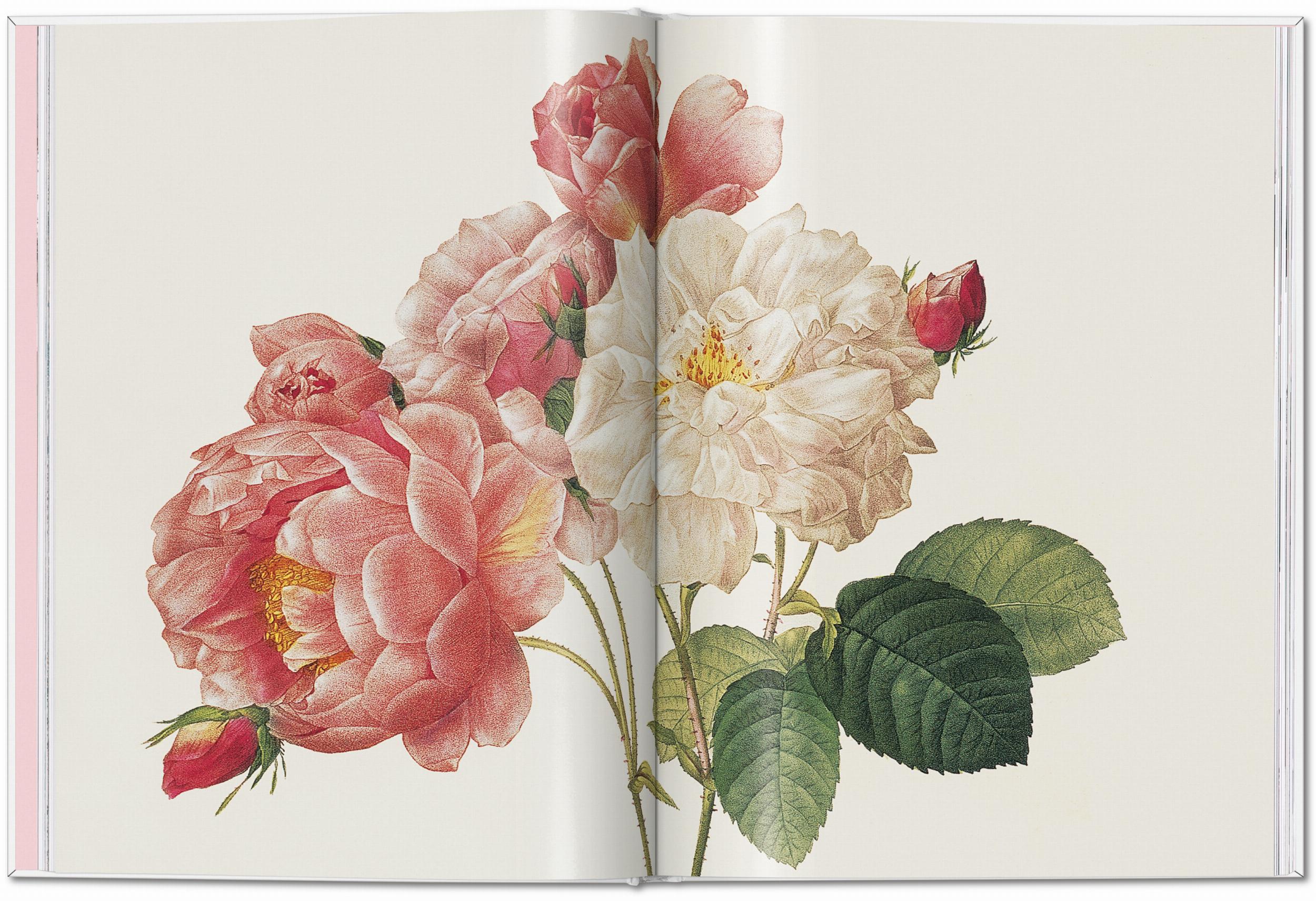 Redouté. Roses (Capa dura) 4