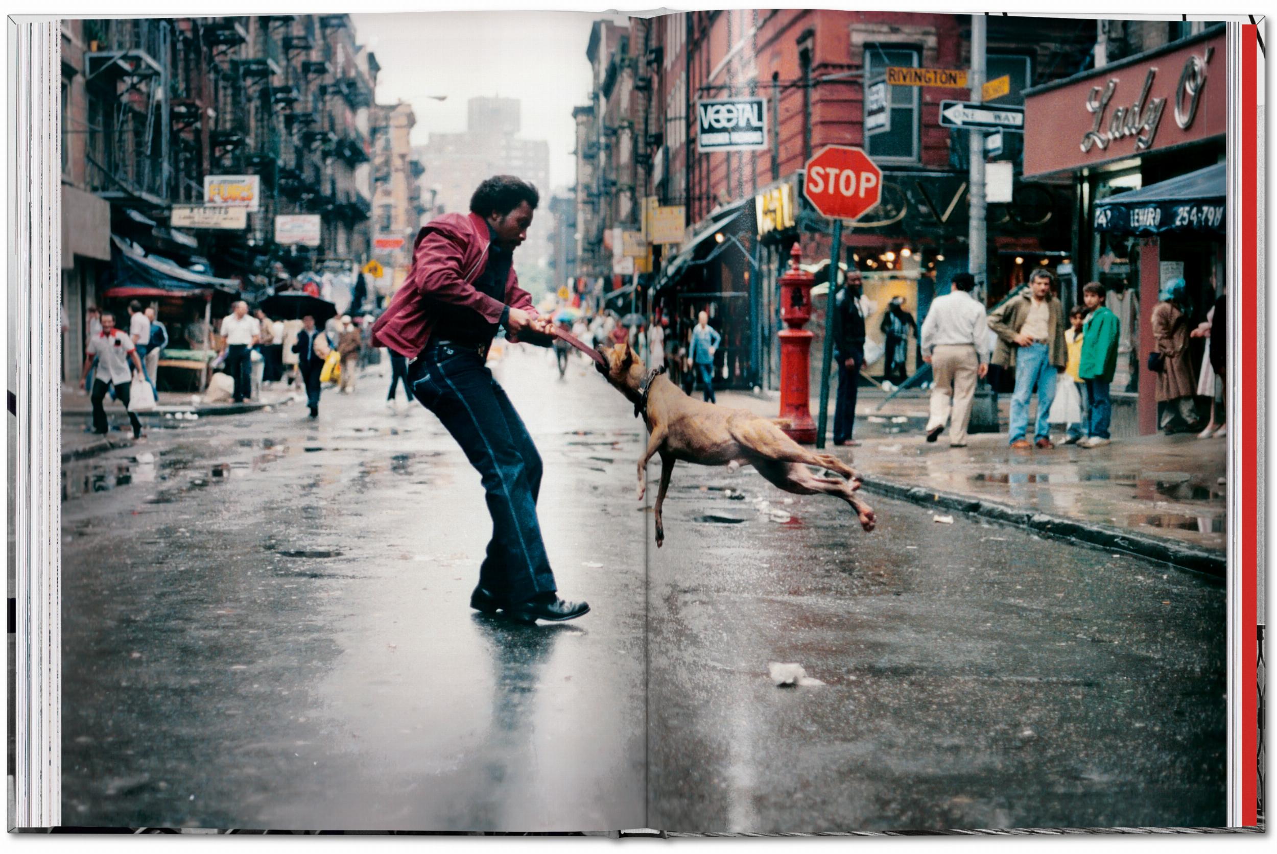 New York. Portrait of a City (Capa dura) 2