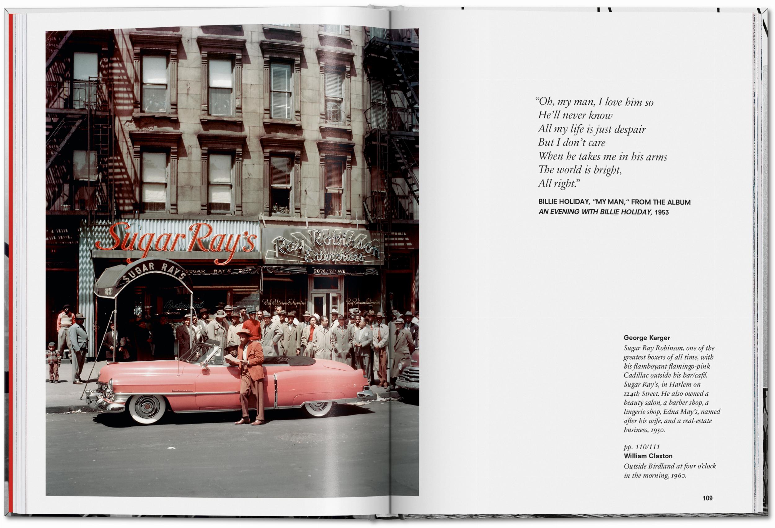 New York. Portrait of a City (Capa dura) 8
