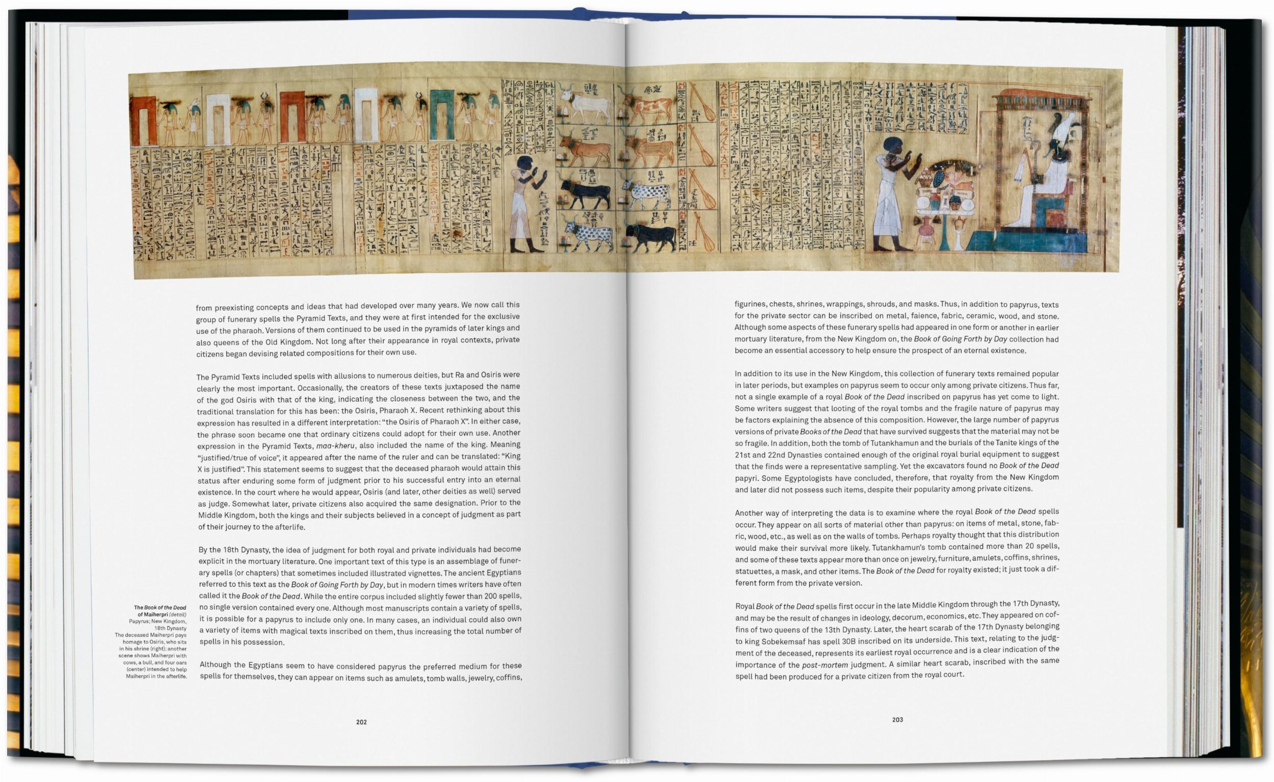 King Tut. The Journey through the Underworld (Capa dura) 4