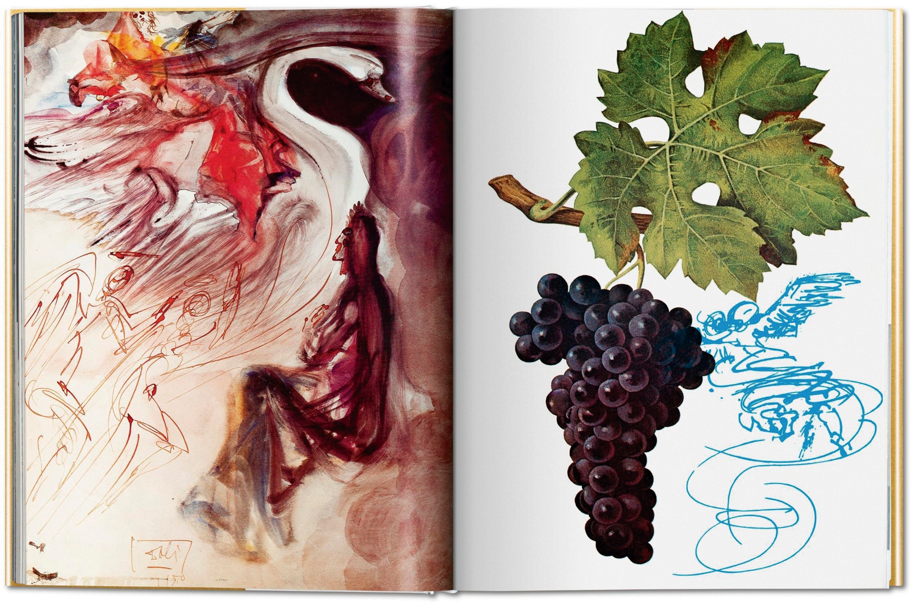 Dalí. Les Vins de Gala (Capa dura) 3