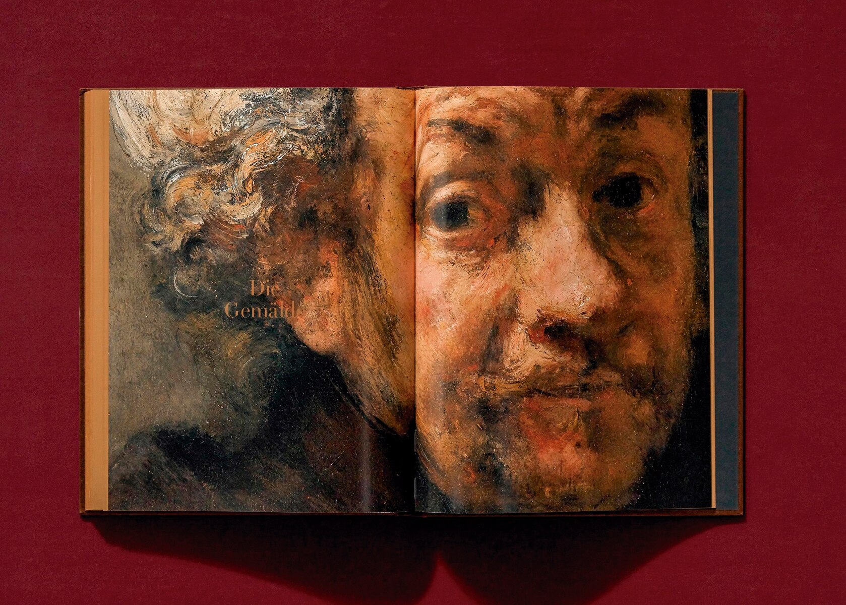 Rembrandt. Die Selbstporträts (Capa dura) 8
