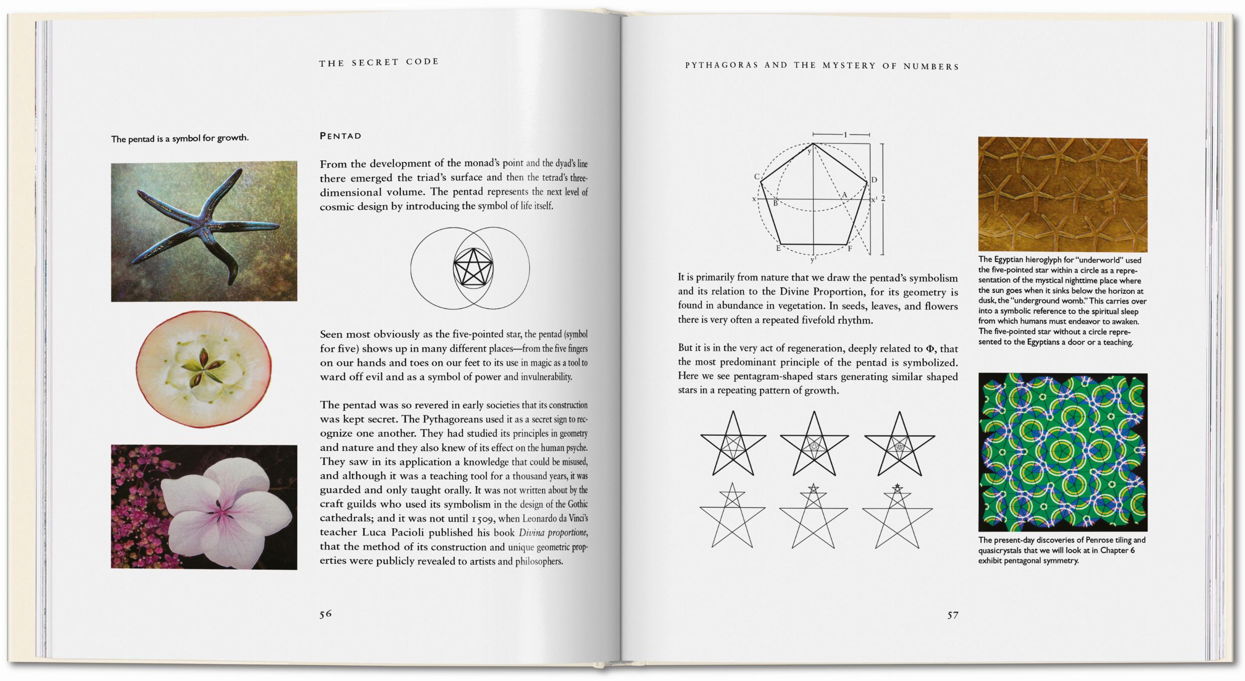 The Secret Code (Capa dura) 2