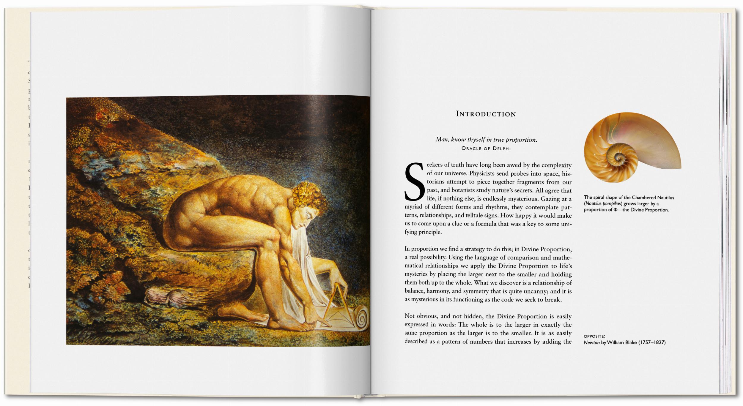 The Secret Code (Capa dura) 4