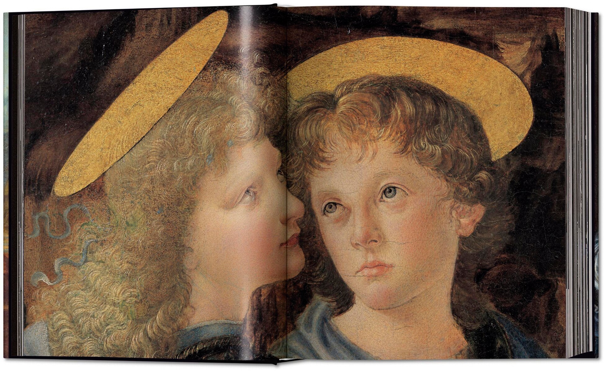 Léonard de Vinci. Tout l'&uvre peint et graphique (Capa dura) 5