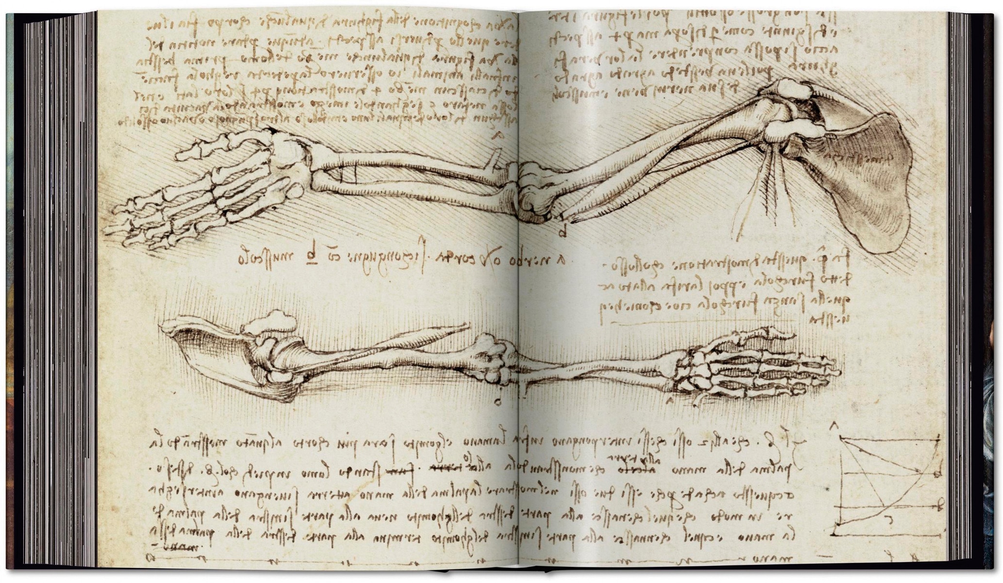 Léonard de Vinci. Tout l'&uvre peint et graphique (Capa dura) 8