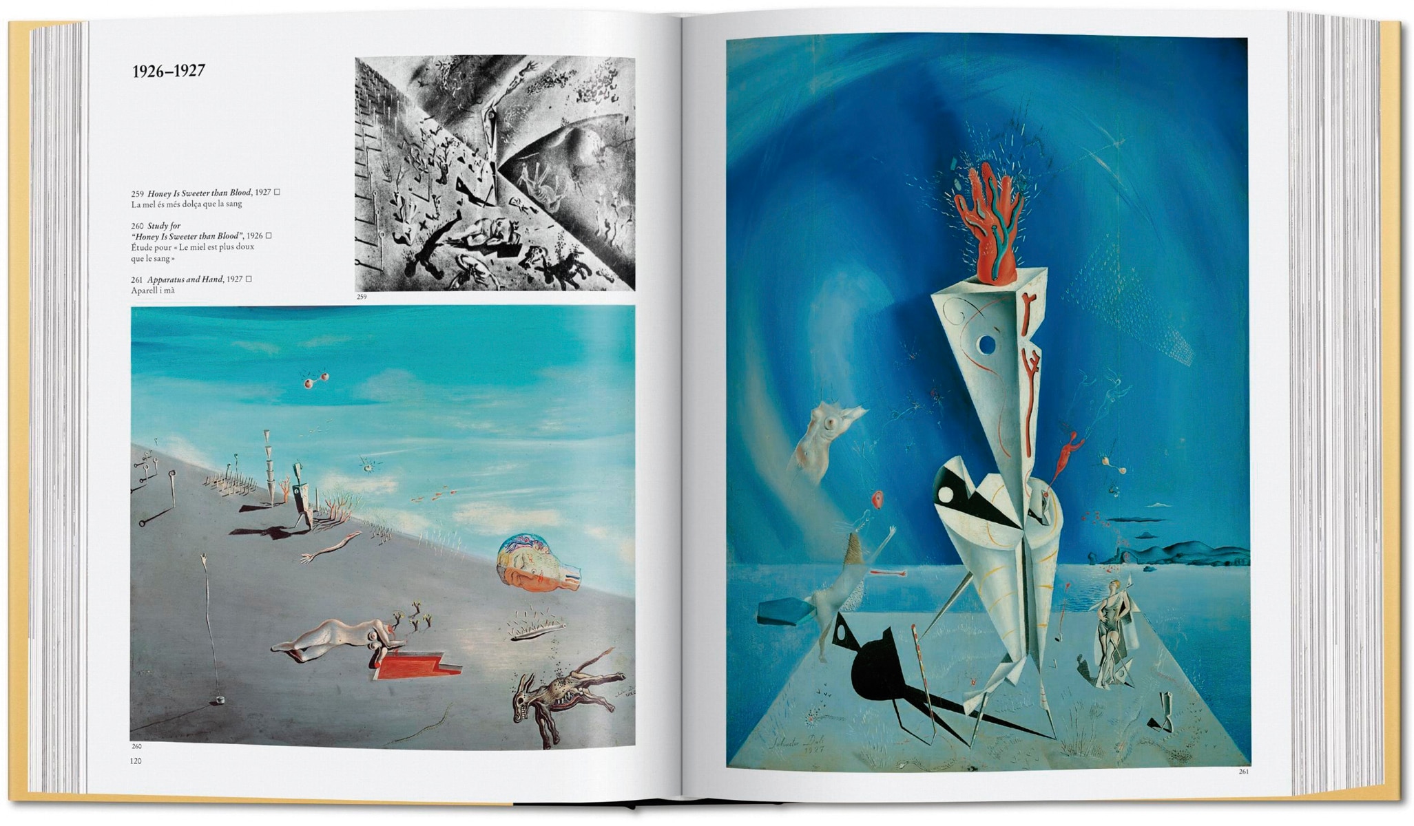 Dalí. Das malerische Werk (Capa dura) 6