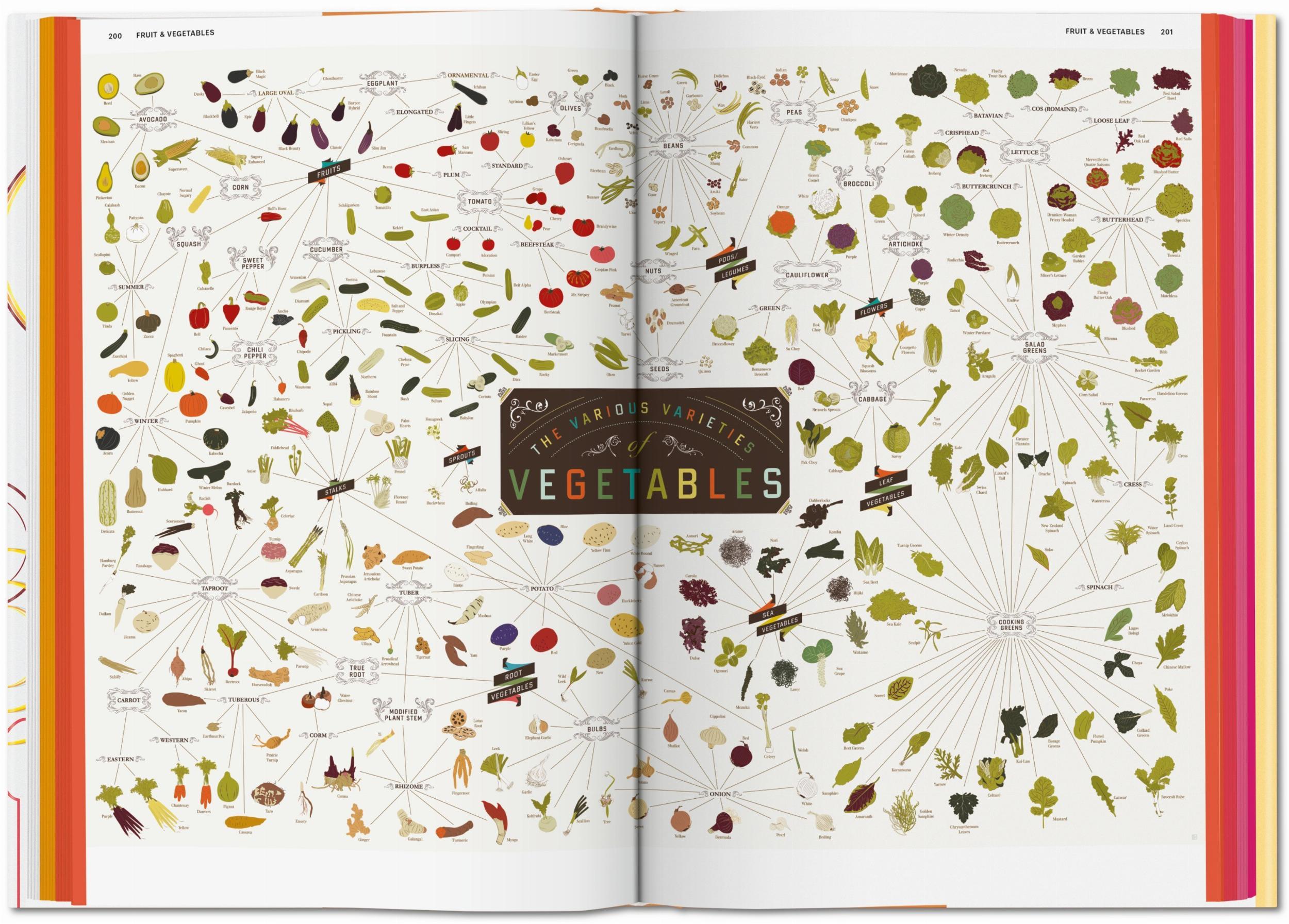 Food & Drink Infographics. A Visual Guide to Culinary Pleasures (Capa dura) 5