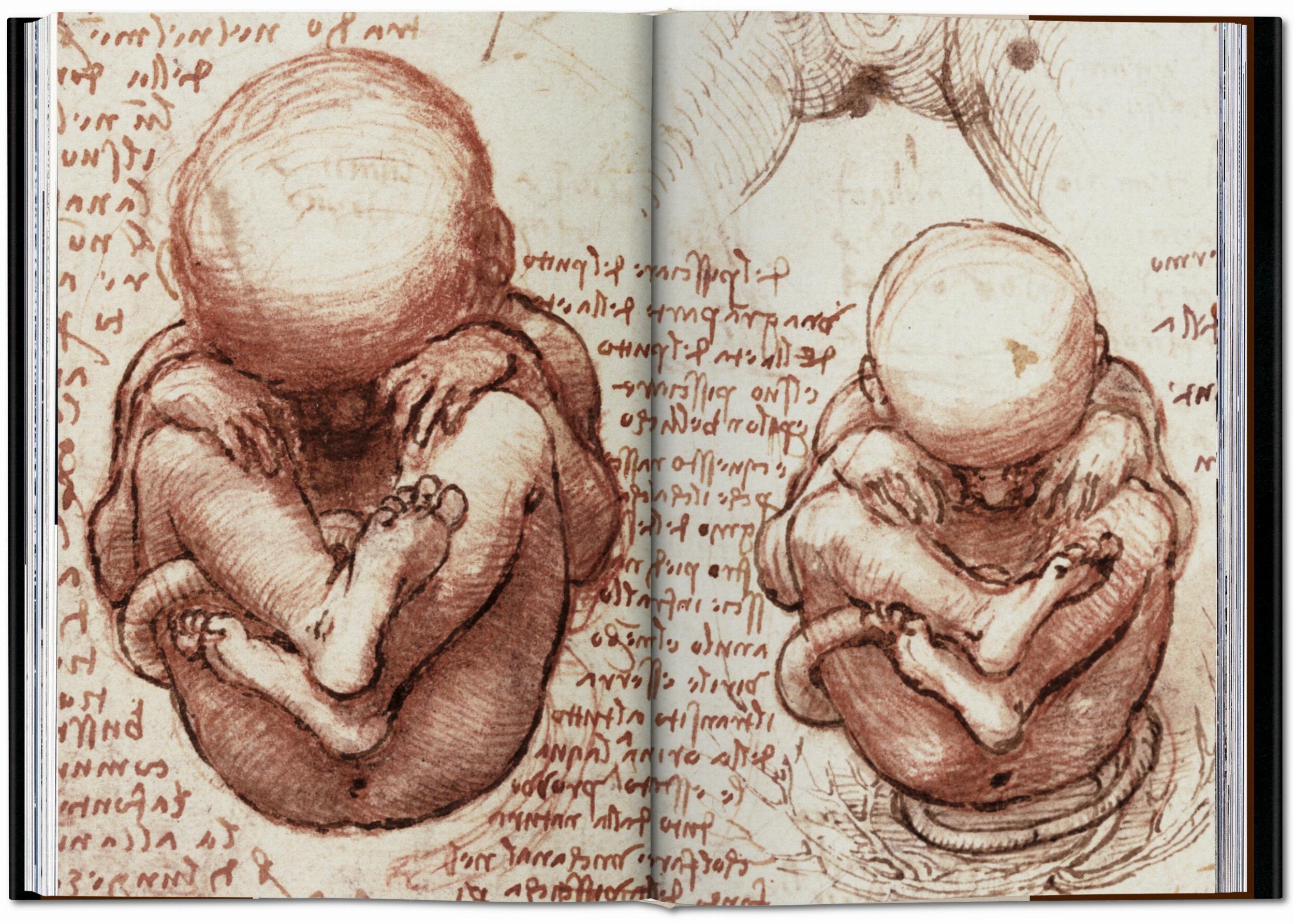 Leonardo da Vinci. Tutti i dipinti e disegni (Capa dura) 3