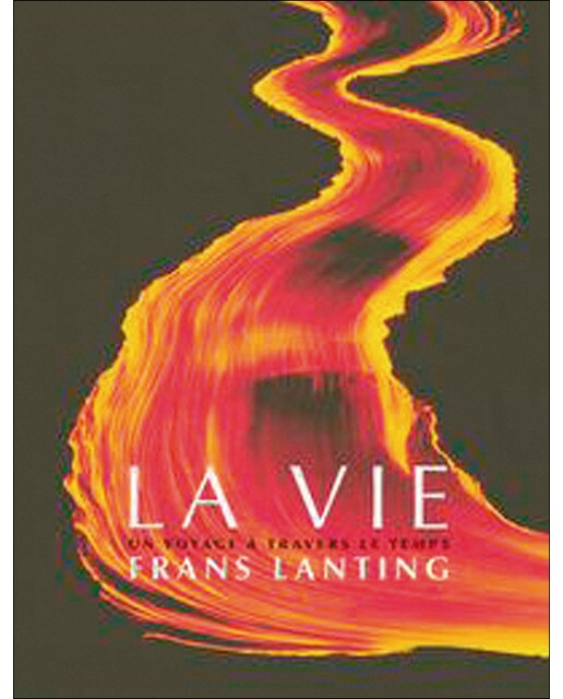Lanting life 1
