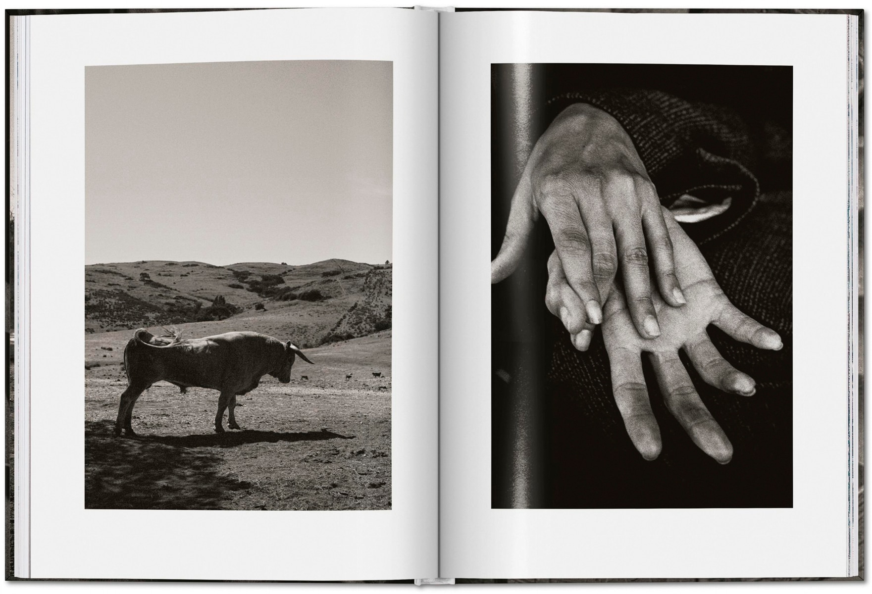 Peter Lindbergh. Untold Stories (Capa dura) 4