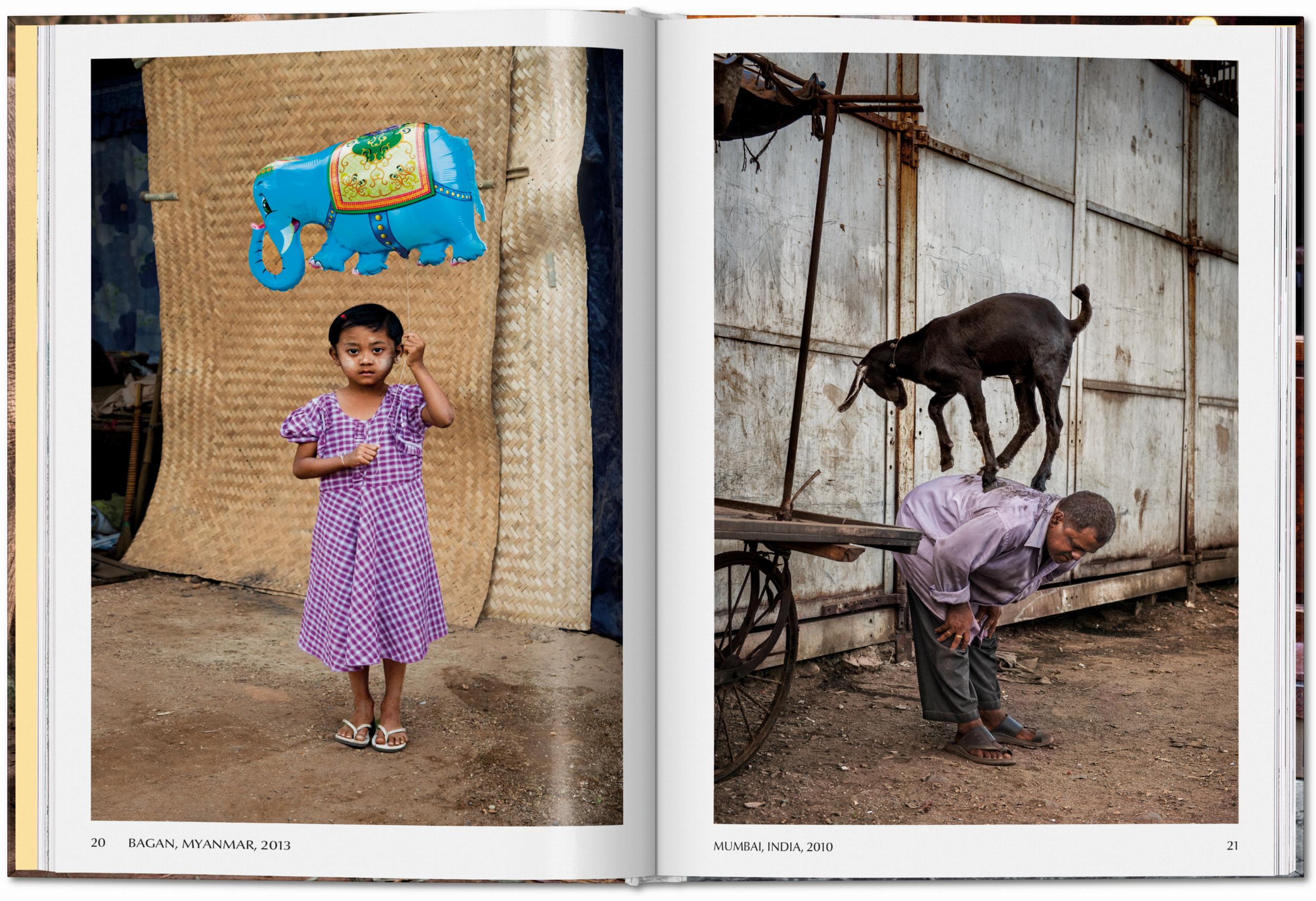 Steve McCurry. Animals (Capa dura) 6