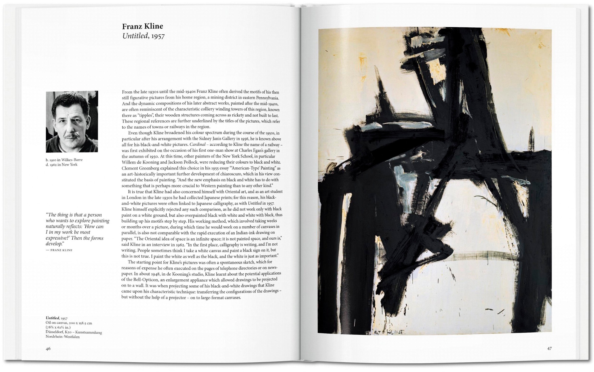 Expressionnisme abstrait (Capa dura) 2