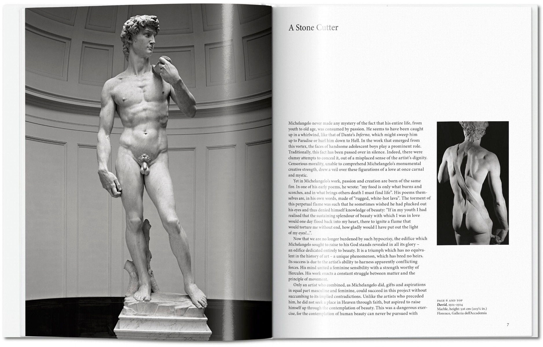 Michelangelo (Capa dura) 2