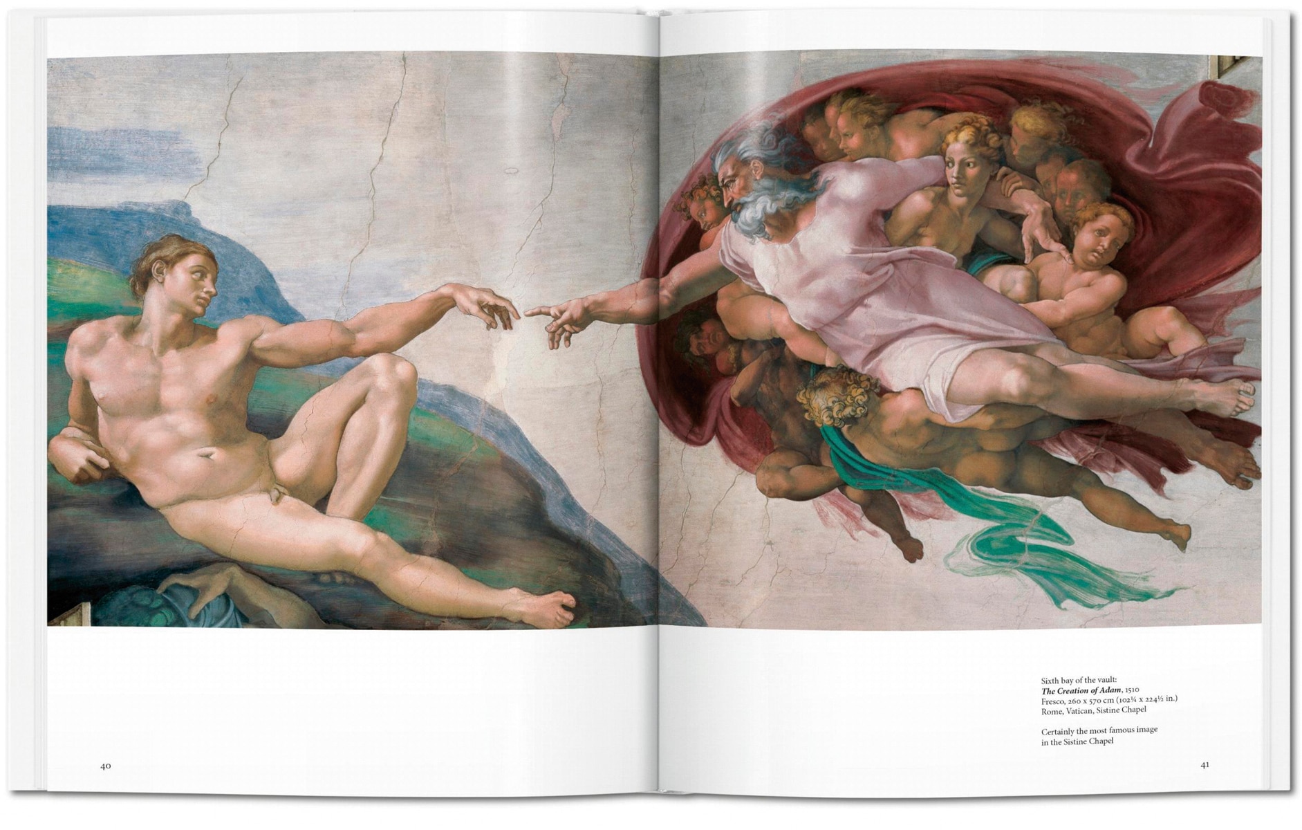 Michelangelo (Capa dura) 4