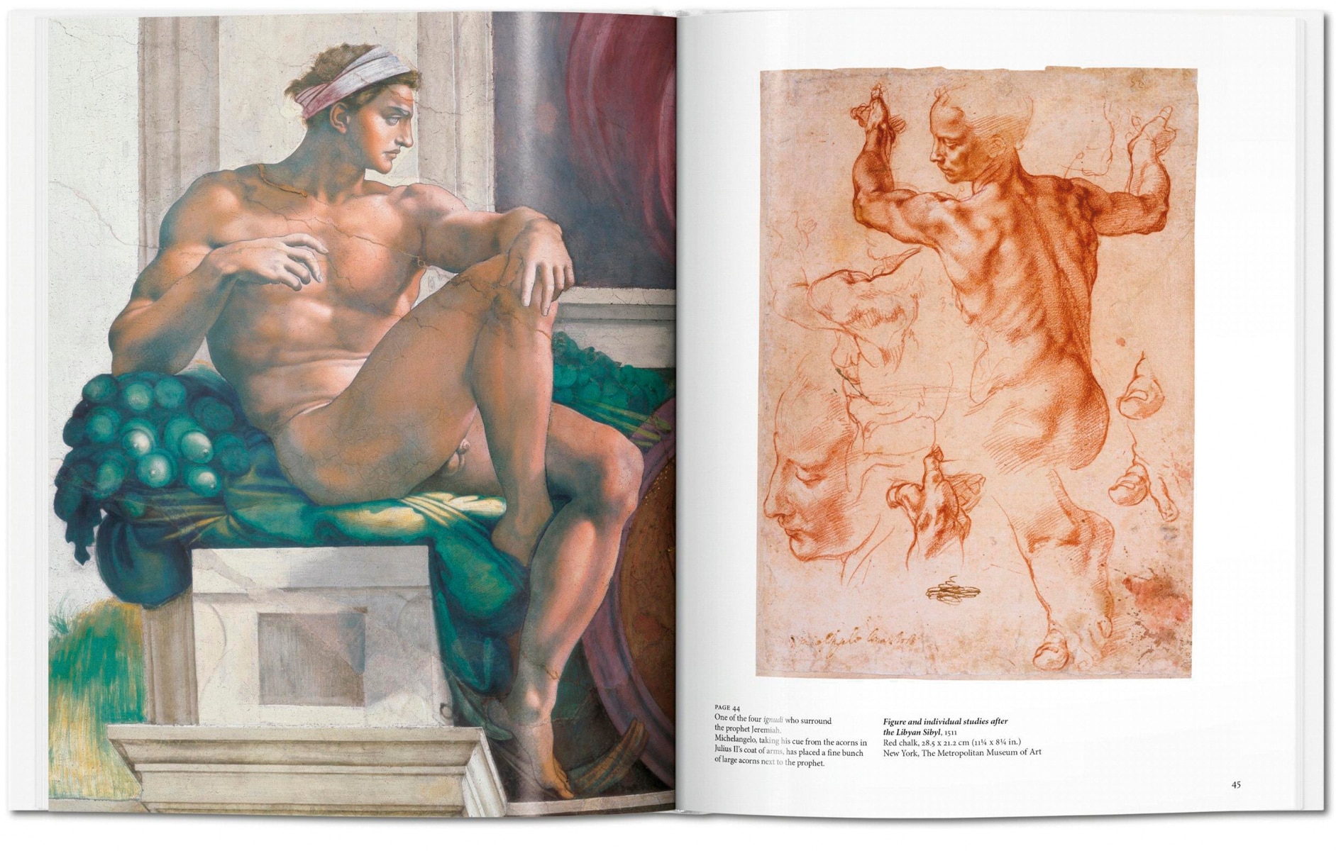 Michelangelo (Capa dura) 7