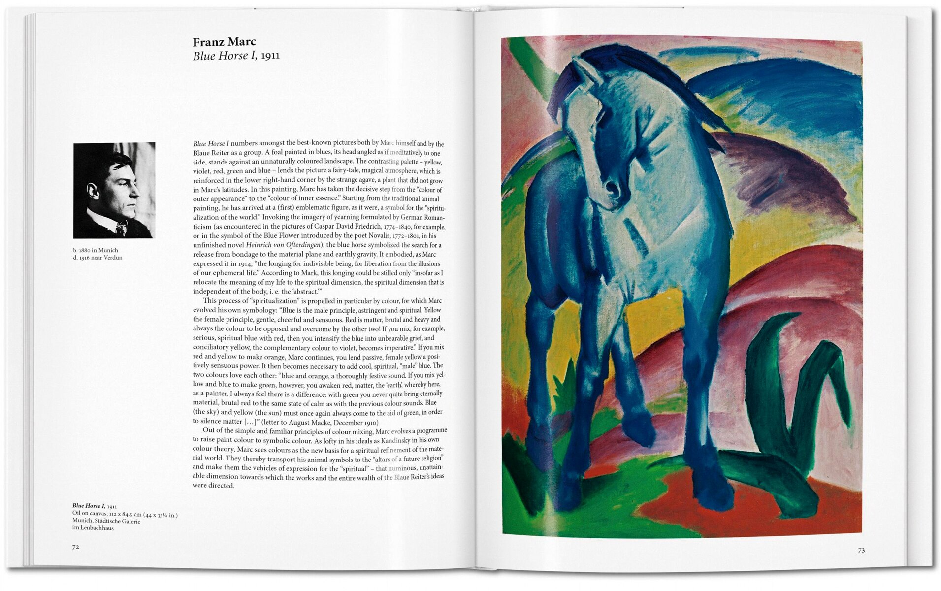 Der Blaue Reiter (Capa dura) 5