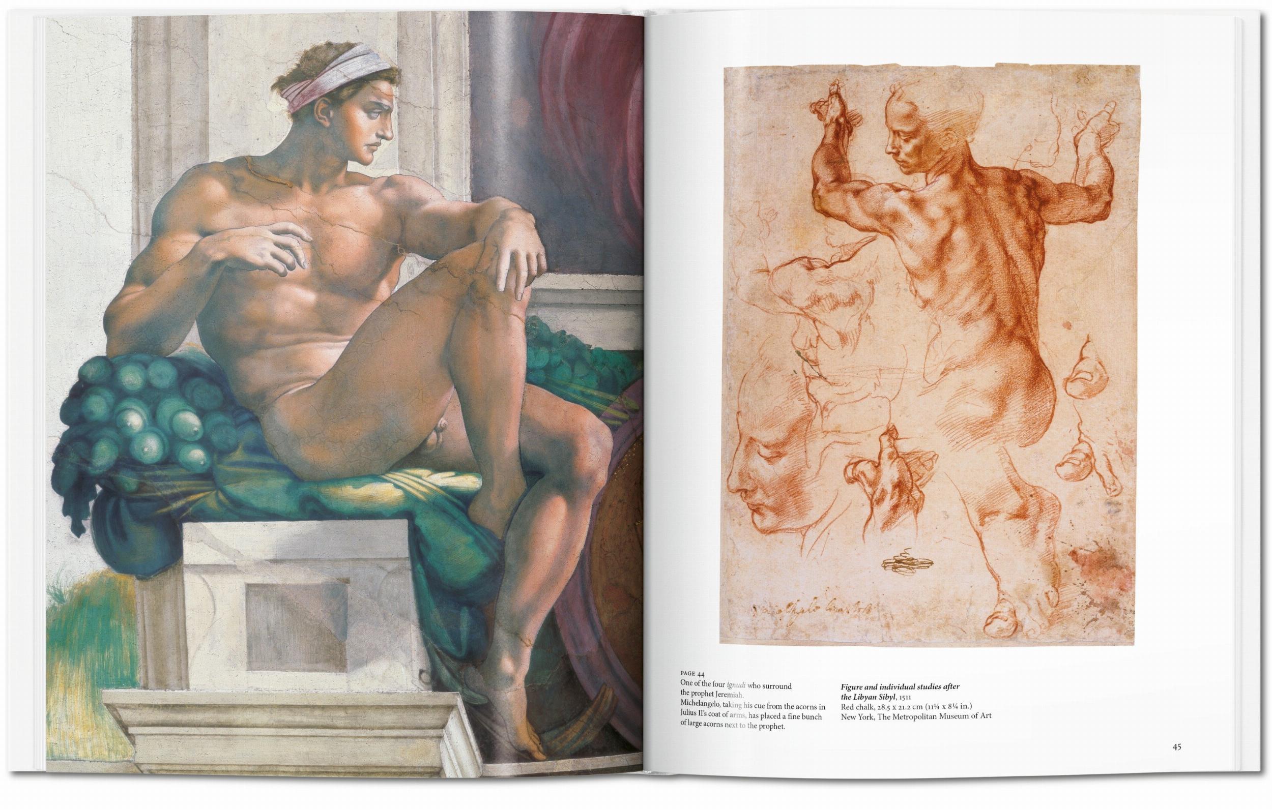 Michelangelo (Capa dura) 7