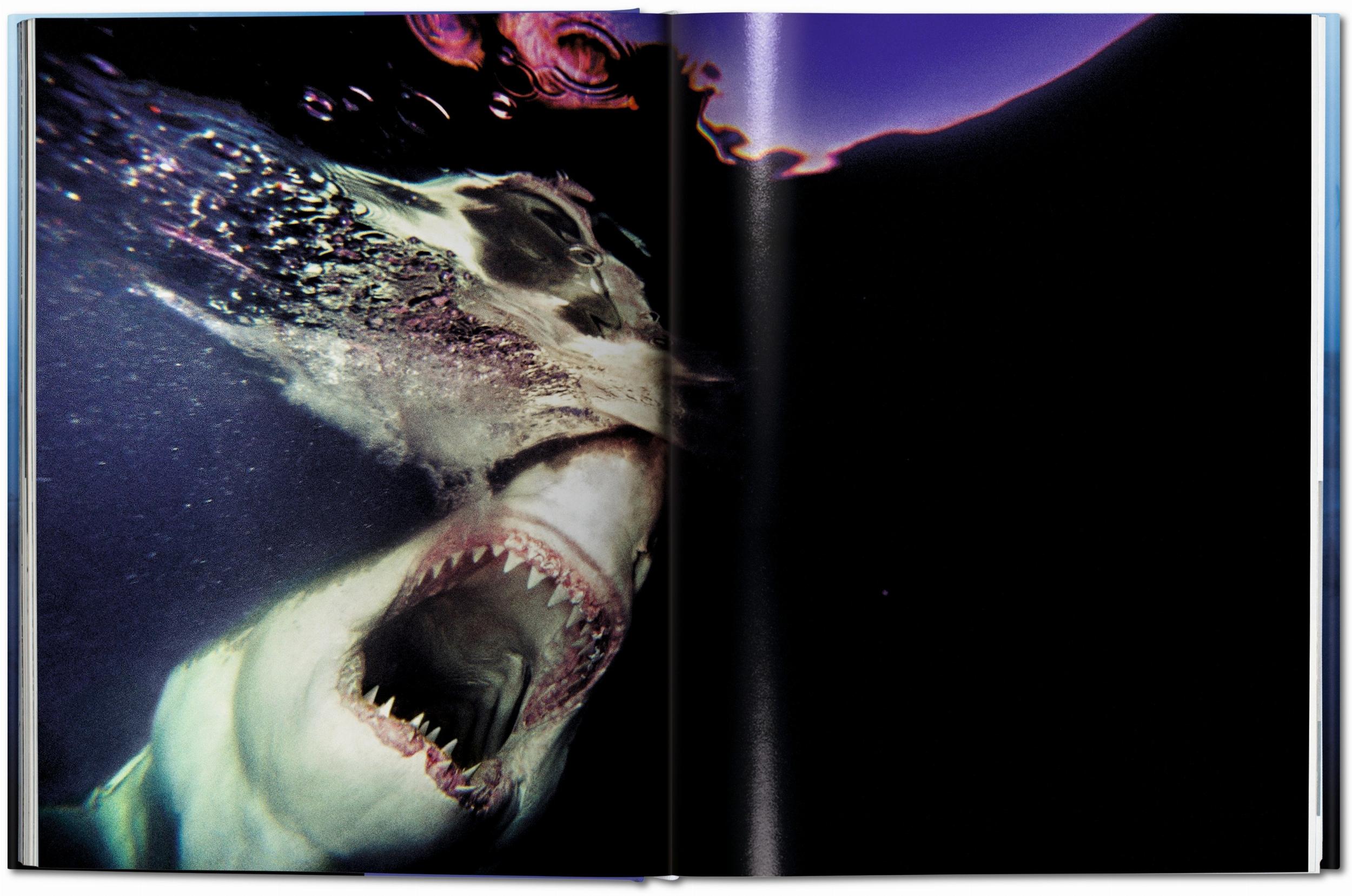 Michael Muller. Squali (Capa dura) 6