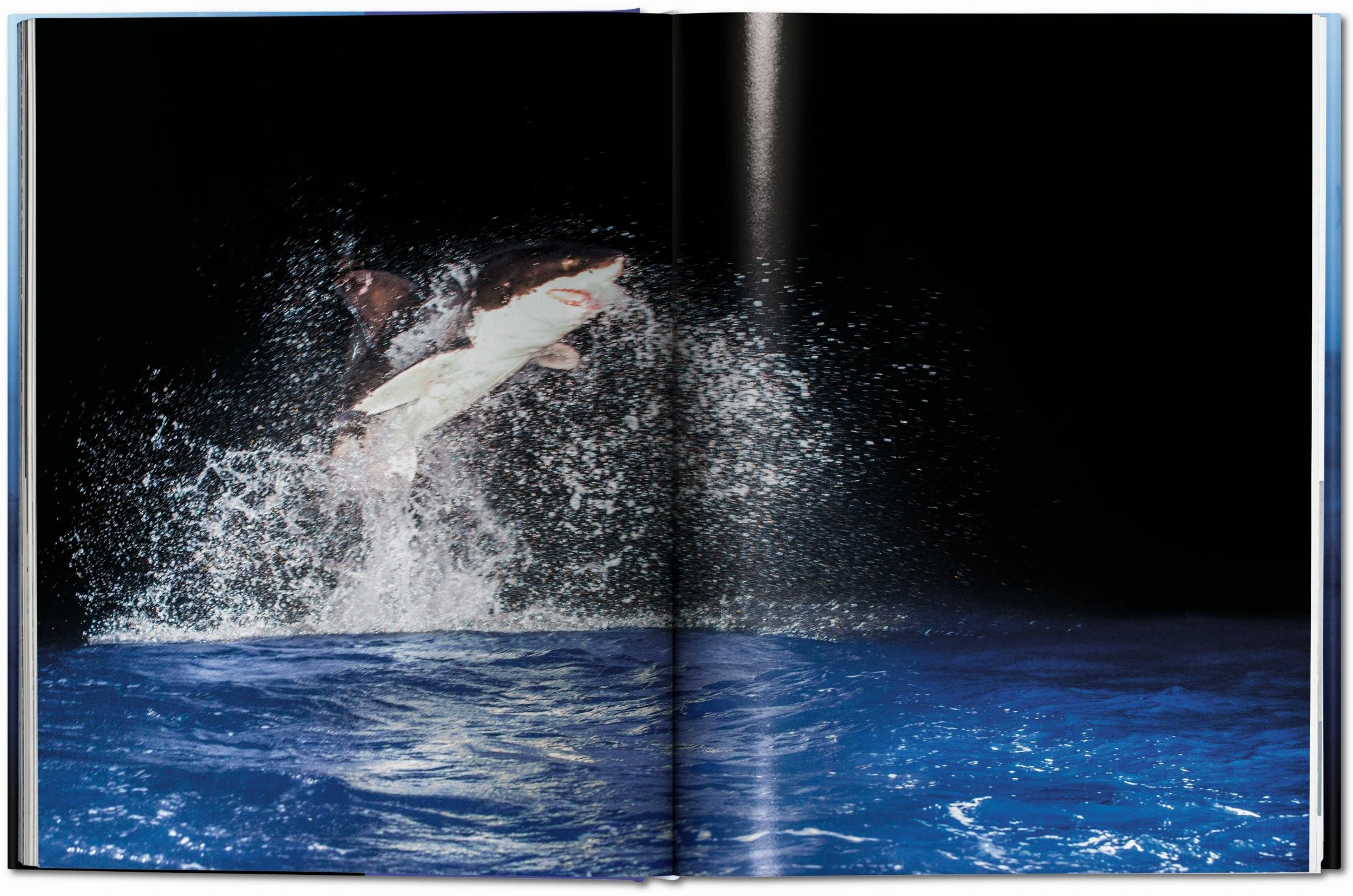 Michael Muller. Squali (Capa dura) 7