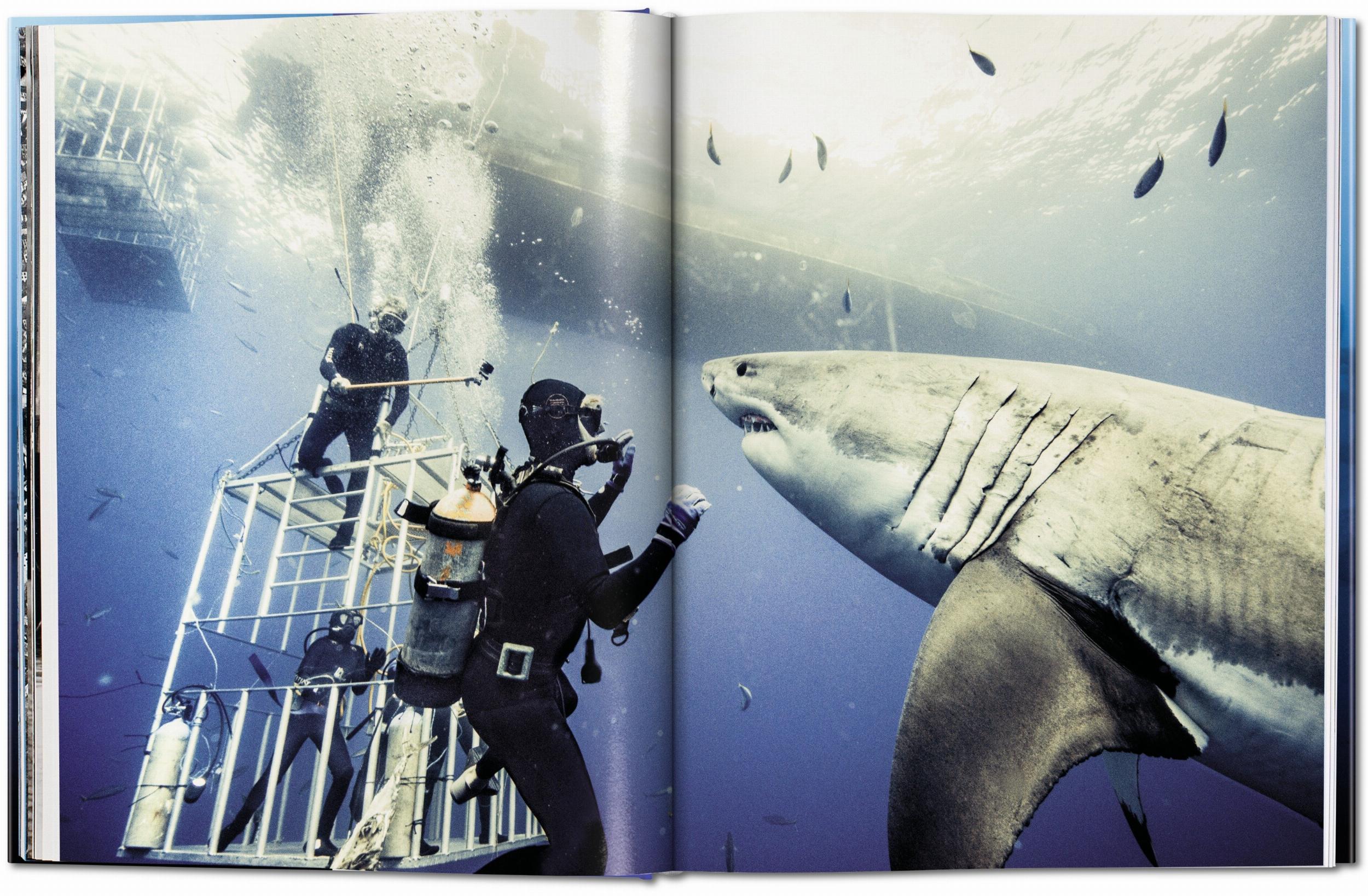 Michael Muller. Squali (Capa dura) 10