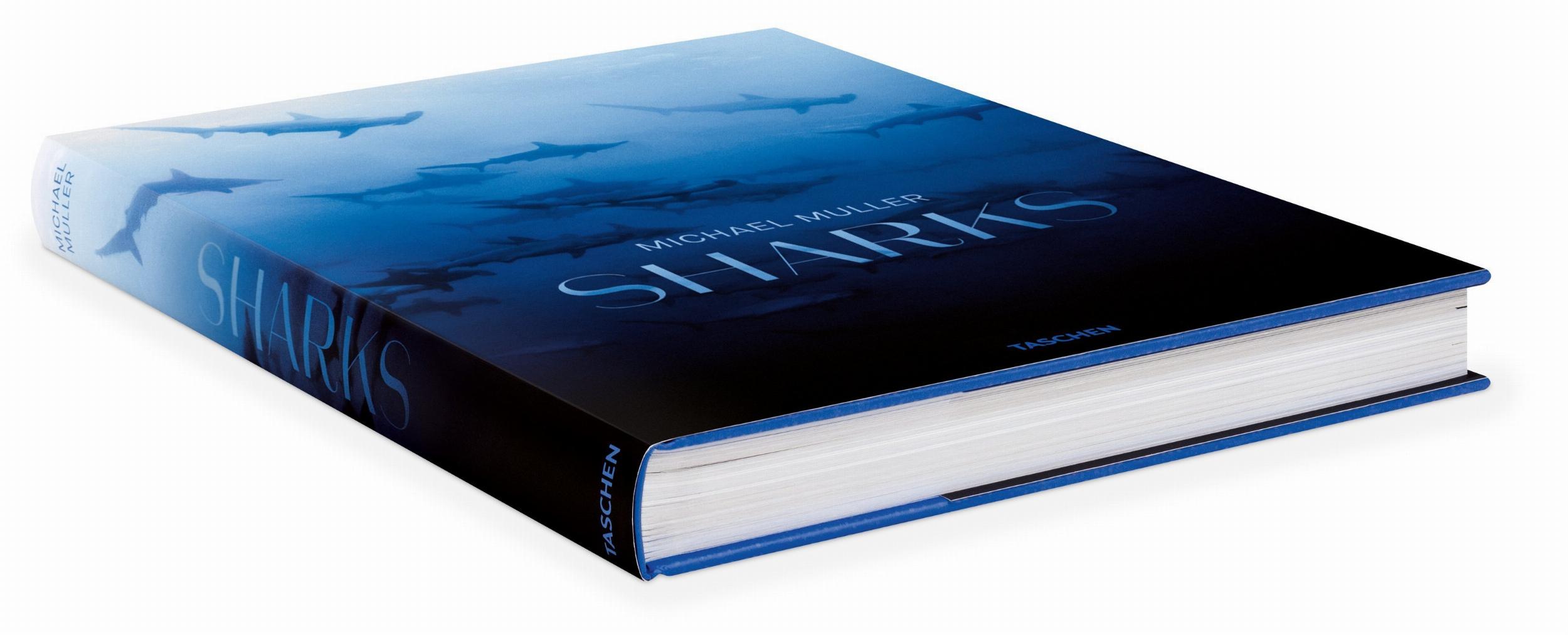Michael Muller. Squali (Capa dura) 12