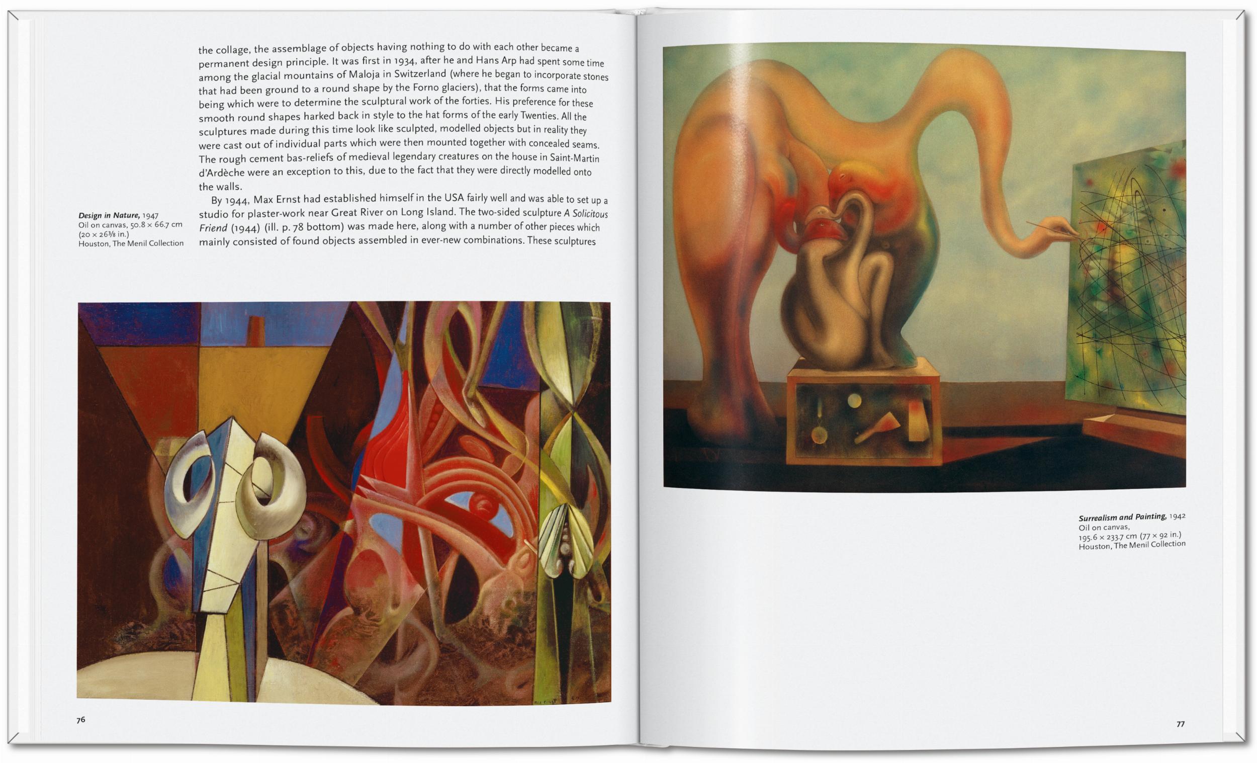 Max Ernst (Capa dura) 3