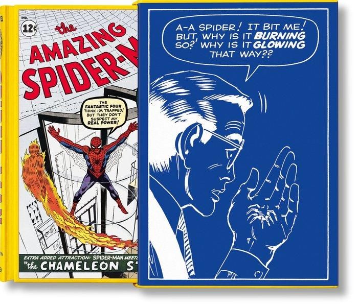The marvel comics library spider man vol 1 1962 19 1