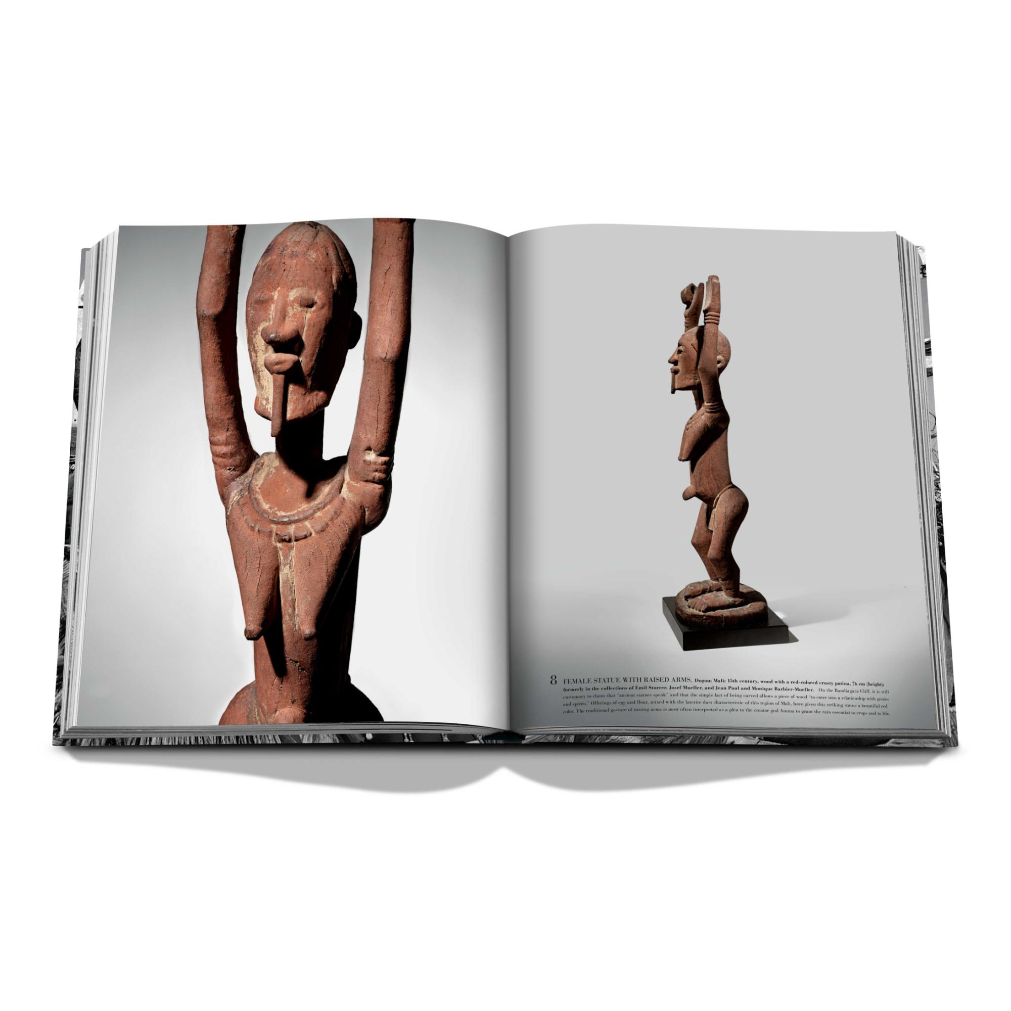 African art: the impossible collection 7