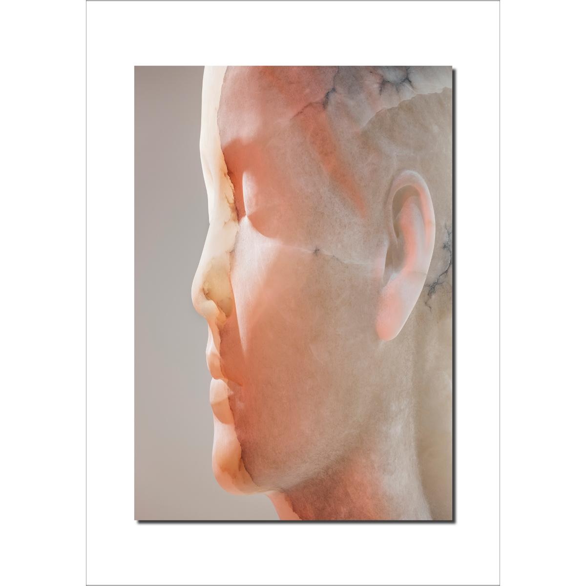 Imagem 0 de Jaume Plensa: Inner Matter / Materia Interior (Capa dura)