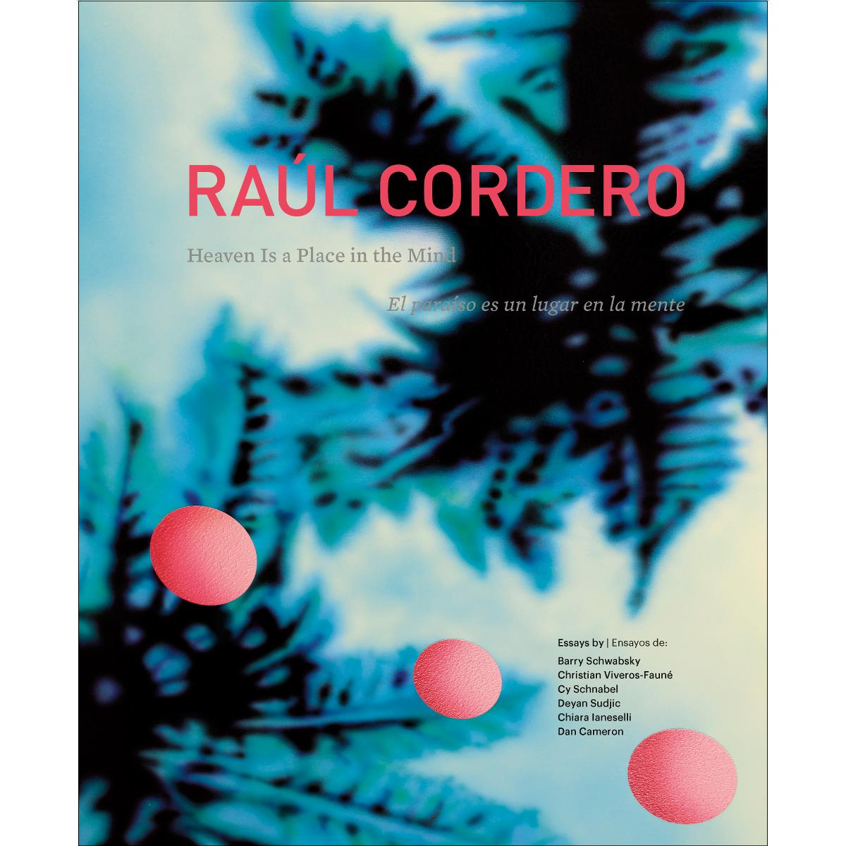 Imagem 0 de Raúl Cordero. El paraíso es un lugar en la mente: Heaven Is a Place in the Mind