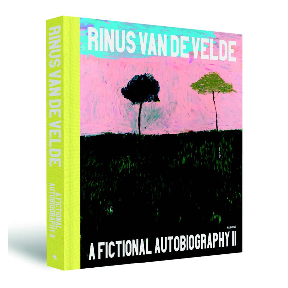 Imagem 0 de A fictional autobiography ii