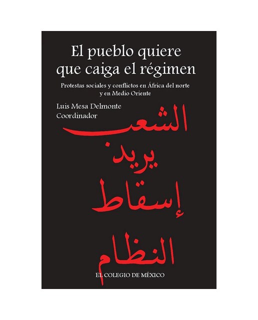 El pueblo quiere que caiga el régimen 1