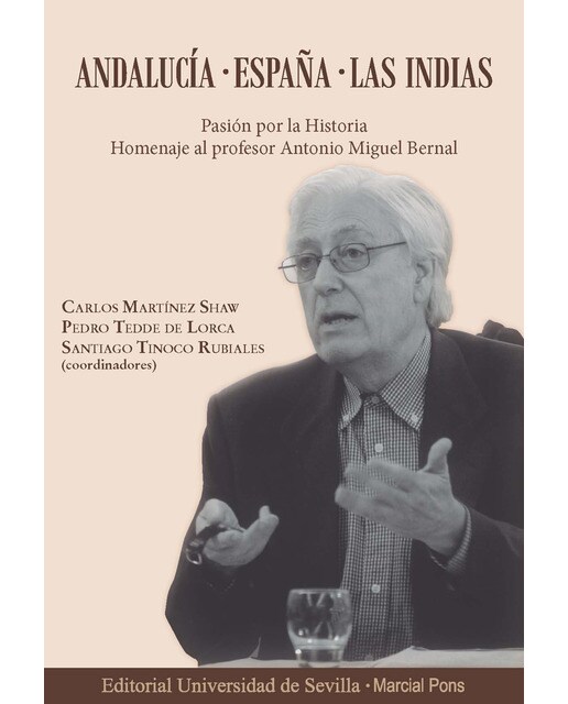 Imagen 0 de ANDALUCÍA. ESPAÑA. LAS INDIAS: Pasión por la historia. Homenaje al profesor Antonio Miguel Bernal  (Tapa blanda)