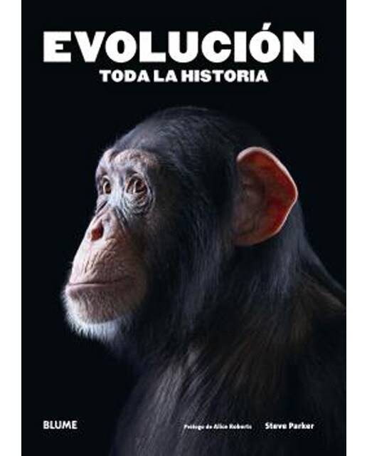 Evolución. Toda la historia