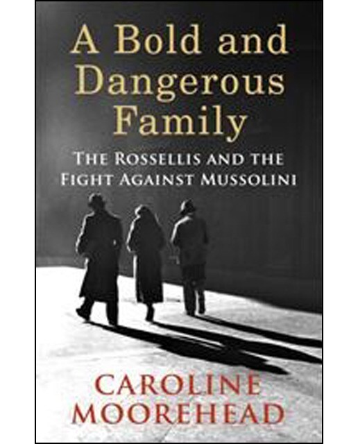 A Bold And Dangerous Family 1