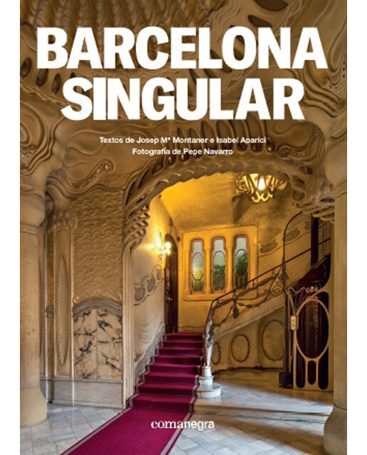 Imagen 1 de Barcelona singular (Tapa blanda)