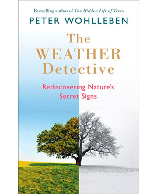 The Weather Watcher 1