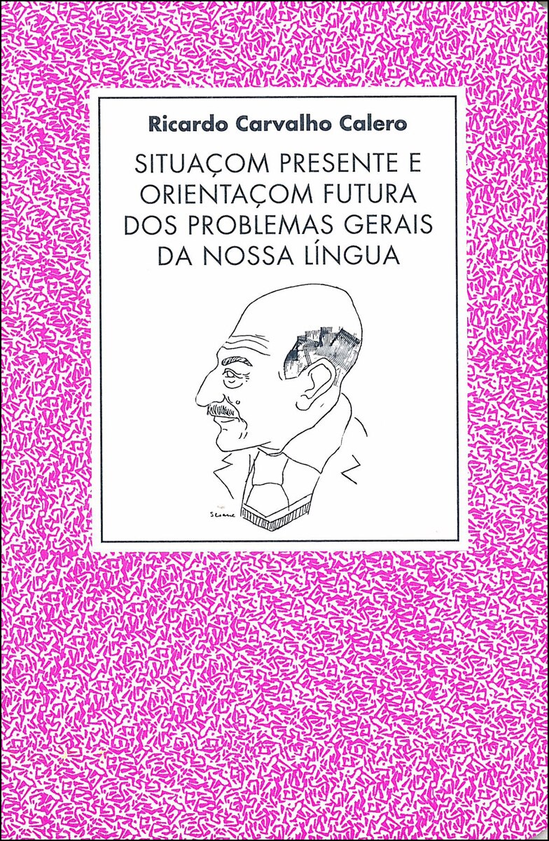 Imagem 0 de Situaãom presente e orientaãom futura dos problema