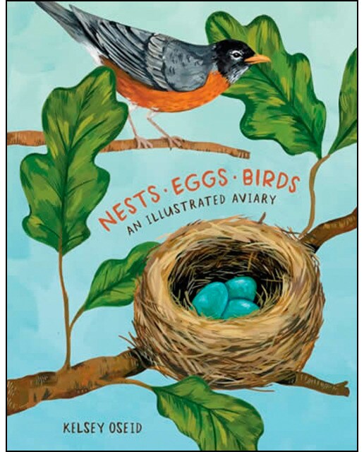 Nests eggs birds 1