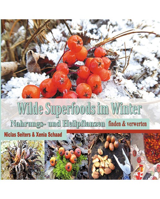 Wilde superfoods im winter: Nahrungs- und heilpflanzen finden & verwerten(Tapa blanda) 1