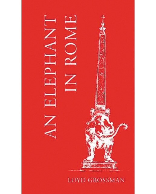 An elephant in rome 1