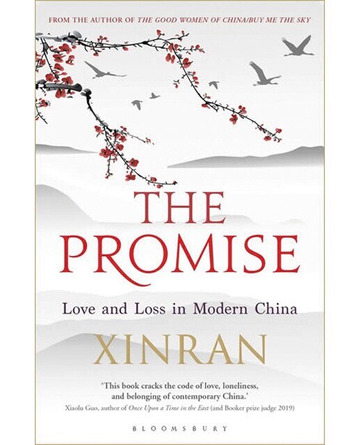 The promise 1