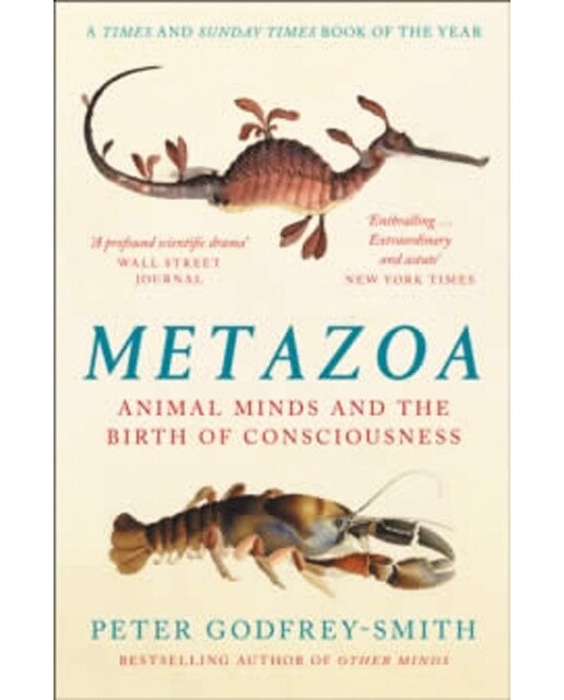 Metazoa 1